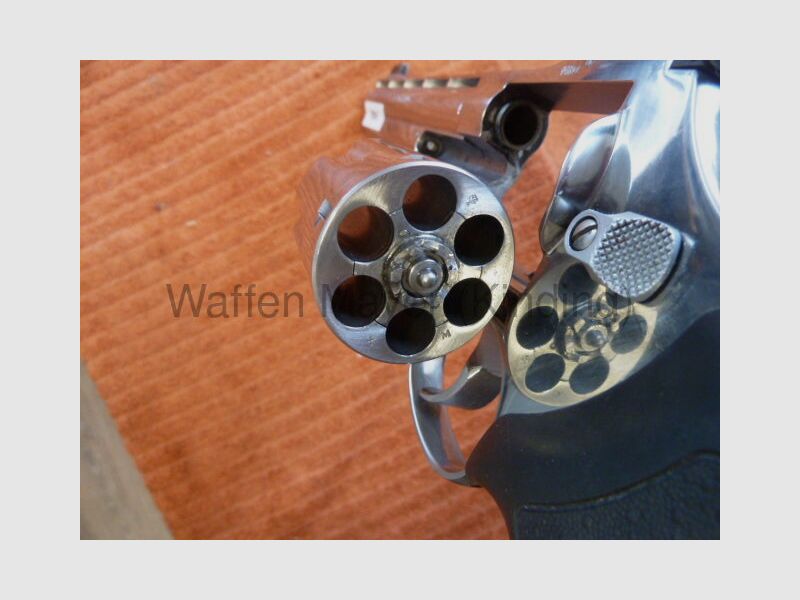 Taurus Euro-Champion