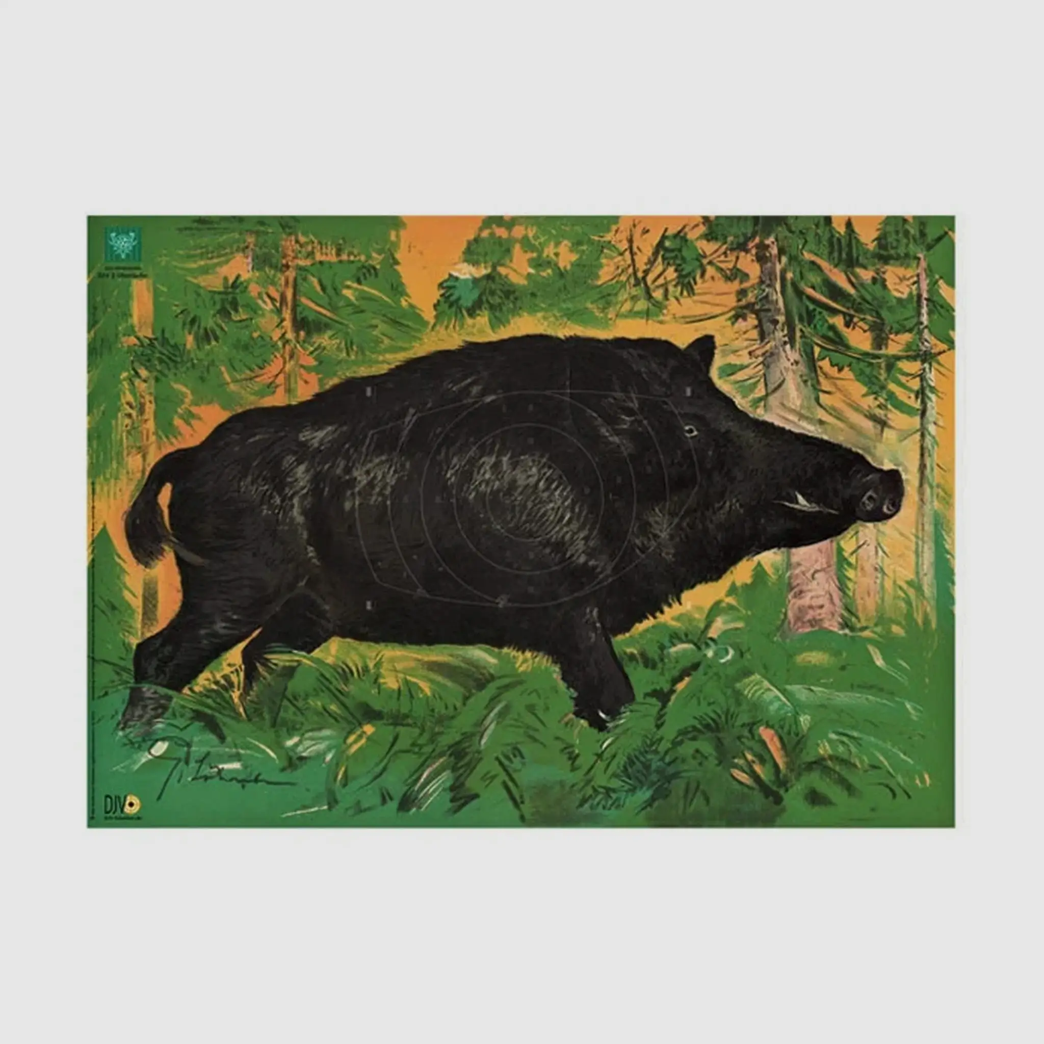 Cibles de chasse AKAH DJV, image 3 sur 3