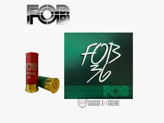 25 Cartouches FOB 36 Cal 12/70 PB 4