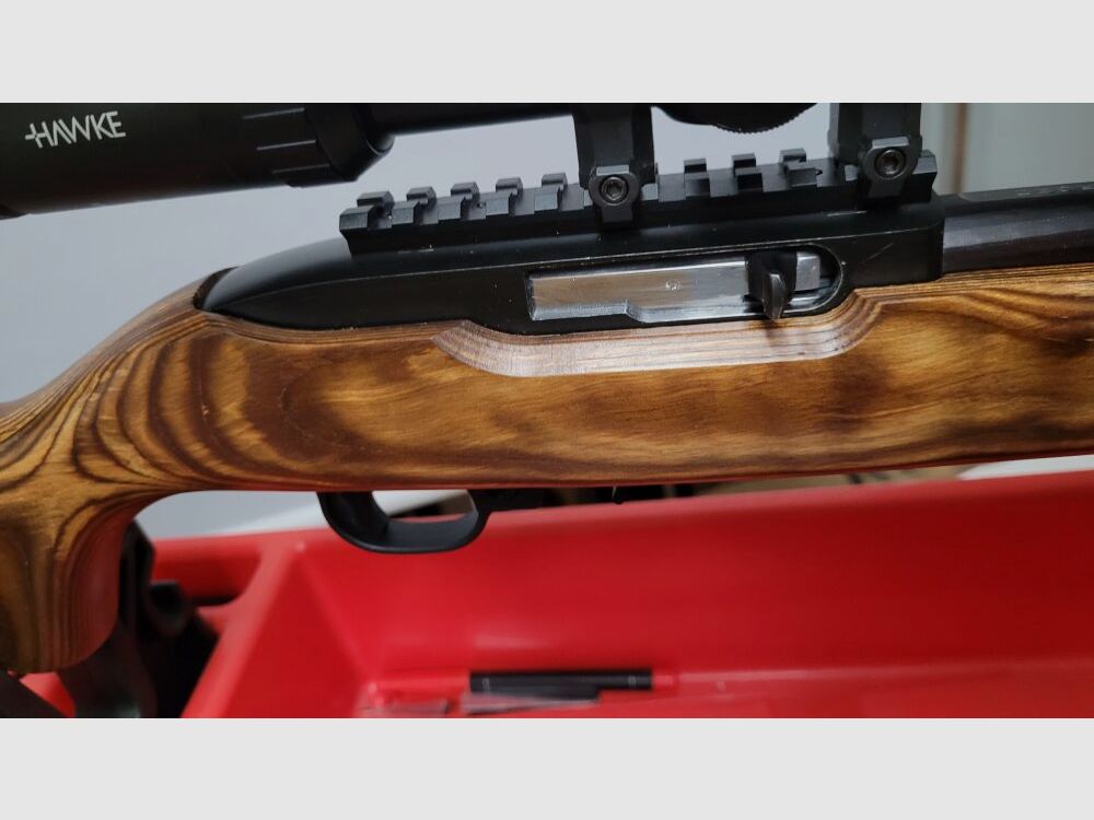 Ruger 10/22
