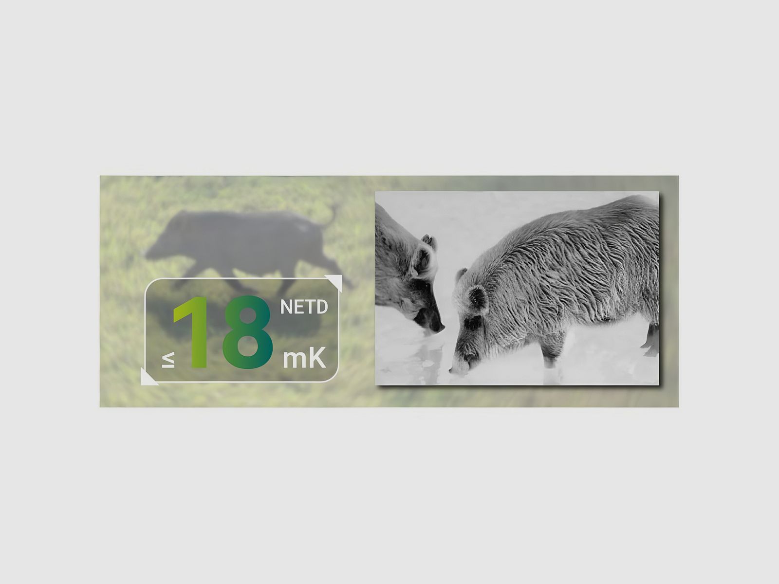 Pixfra Pegasus P635 Pro, Bild 4 von 4