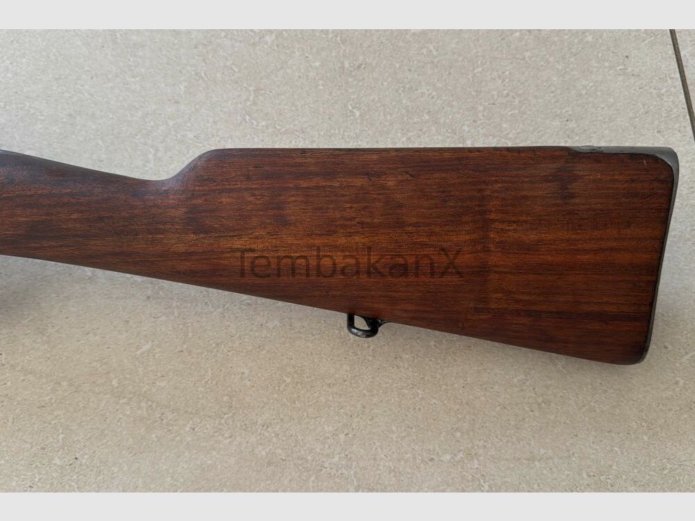 Carl Gustafs Mauser 96 6.5x55SE