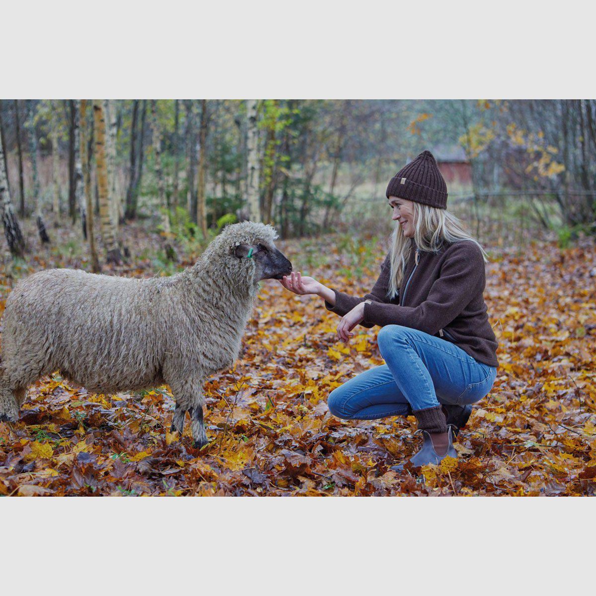 IVANHOE NLS TWIG Pełny Zamek Birch