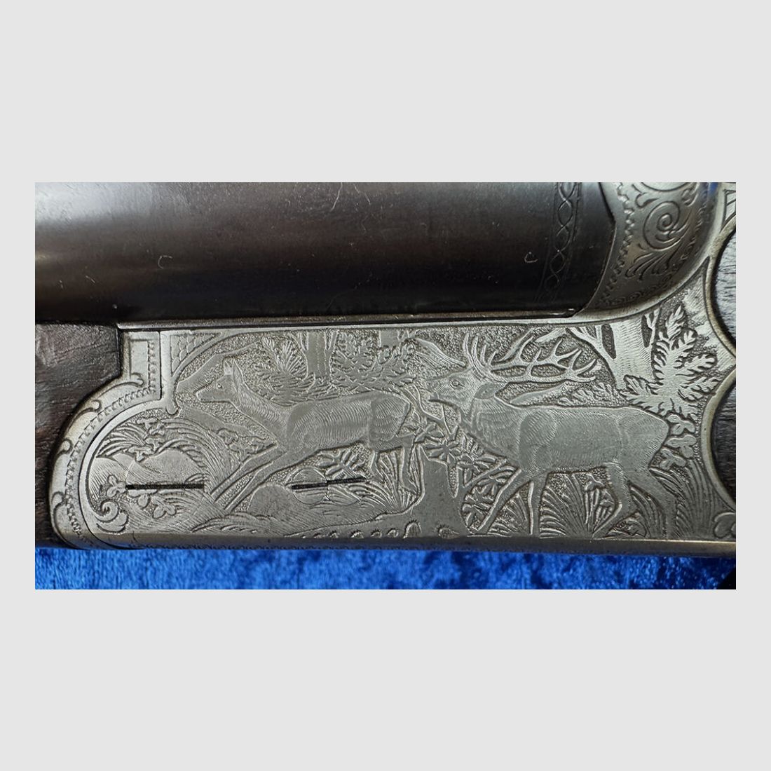 Sauer & Sohn 3000