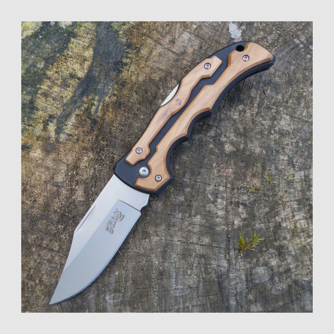 HERBERTZ coltello tascabile Selektion, immagine 2 di 4