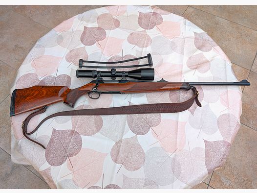 Sauer 202 Europa Lux, cal. .30-06, de 1ª mano, con Schmidt@Bender y Docter Sight y mucho más.