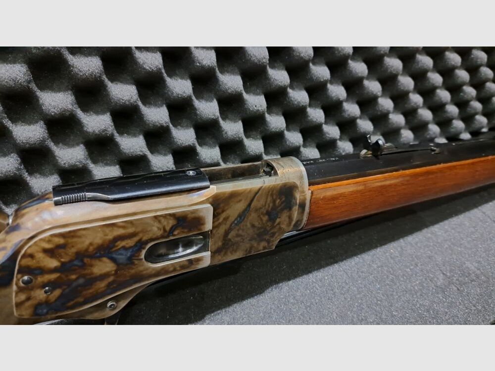 Hege-Uberti 1873