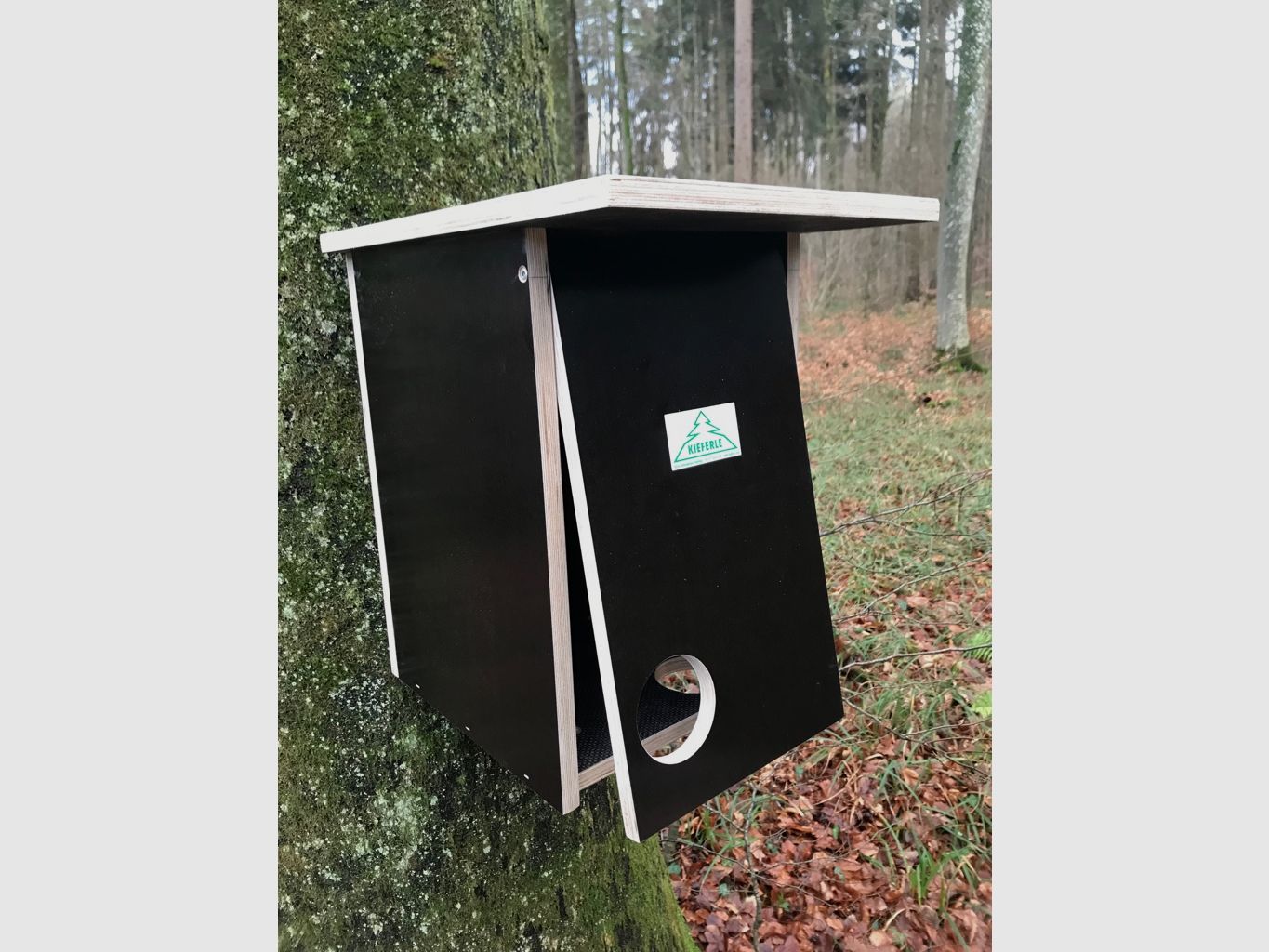 Eichhörnchenkobel