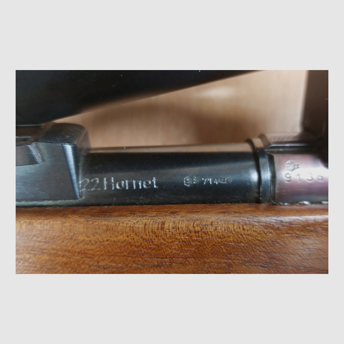 Anschütz, Ulm DJV Match de Chasse