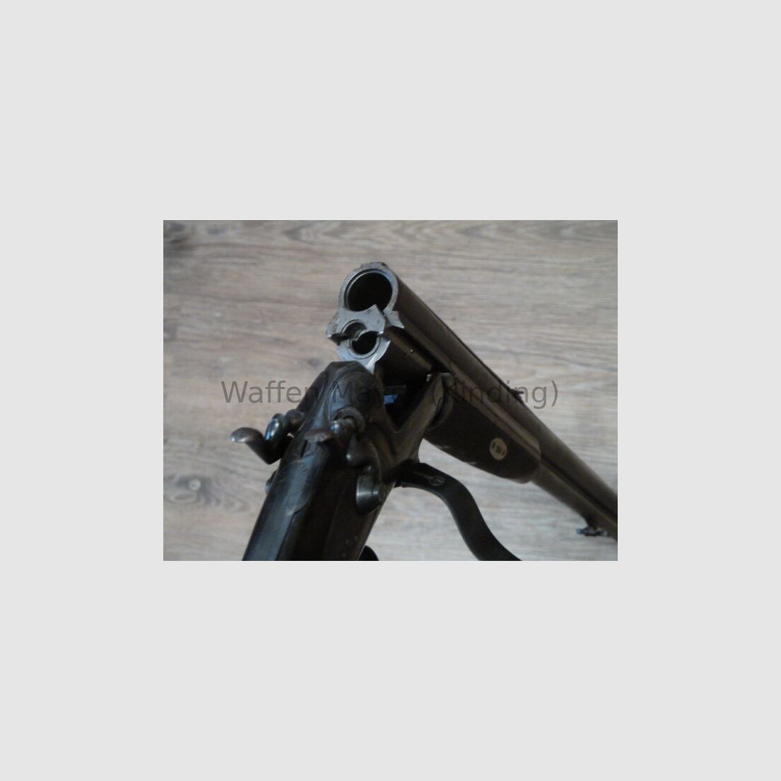 escopeta de perro desconocida