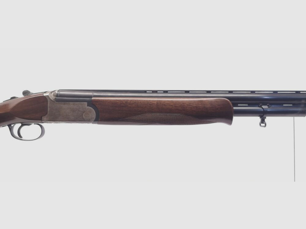 Rizzini AT 605