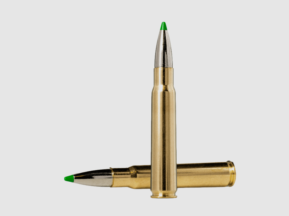 Norma 8x57 JS ECOSTRIKE 10,4 g 160 gr - 20 pcs, image 2 sur 2