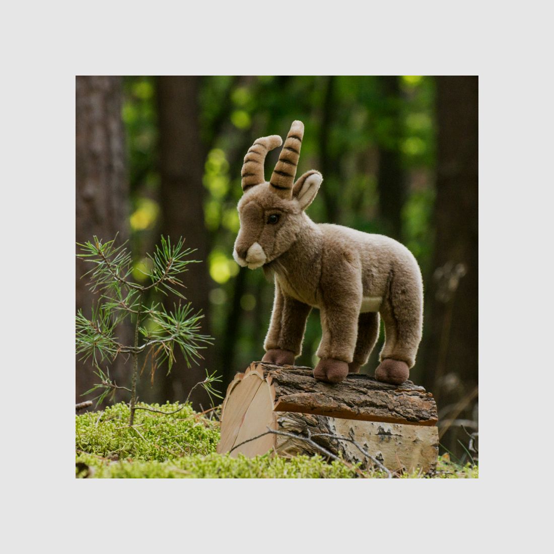 Kuscheltier Steinbock