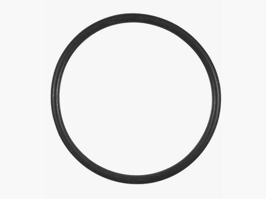 HAUSKEN O-RING POUR SD 60 MM