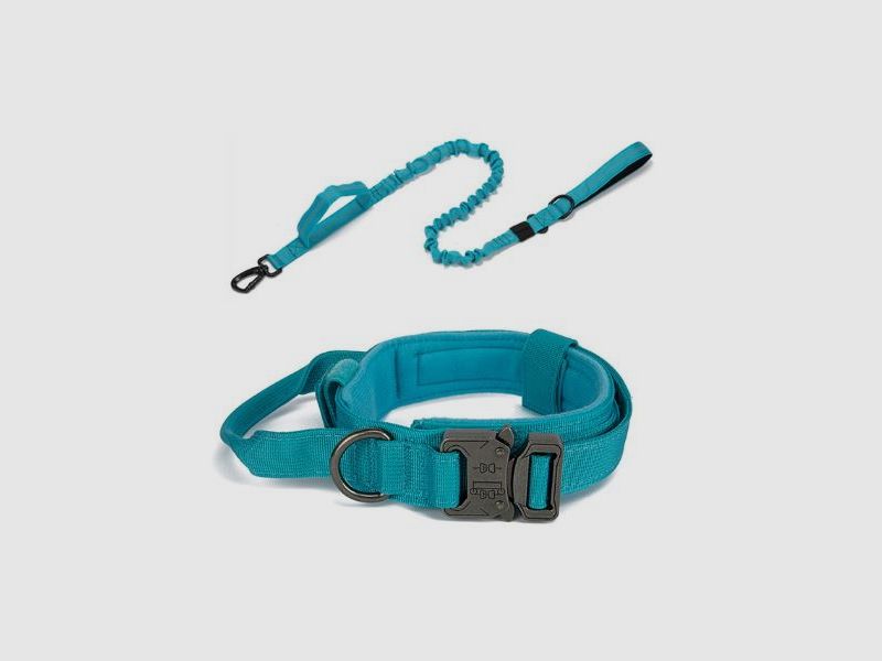Wahl Taktische, ultra resistente Leine und Halsband für Hunde, Bild 30 von 37