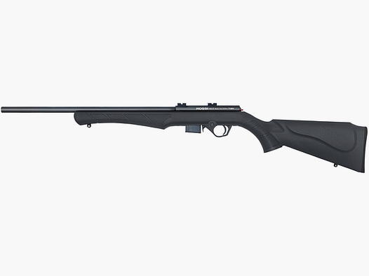 Rossi 8117 17HMR