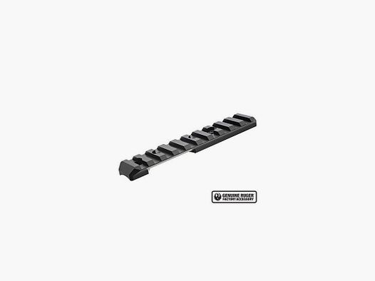 Ruger Picatinny Rail