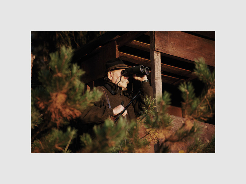 Lornetka Swarovski 8x56 SLC