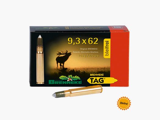 Brenneke 9,3x62 225GR TAG 20 Patronen