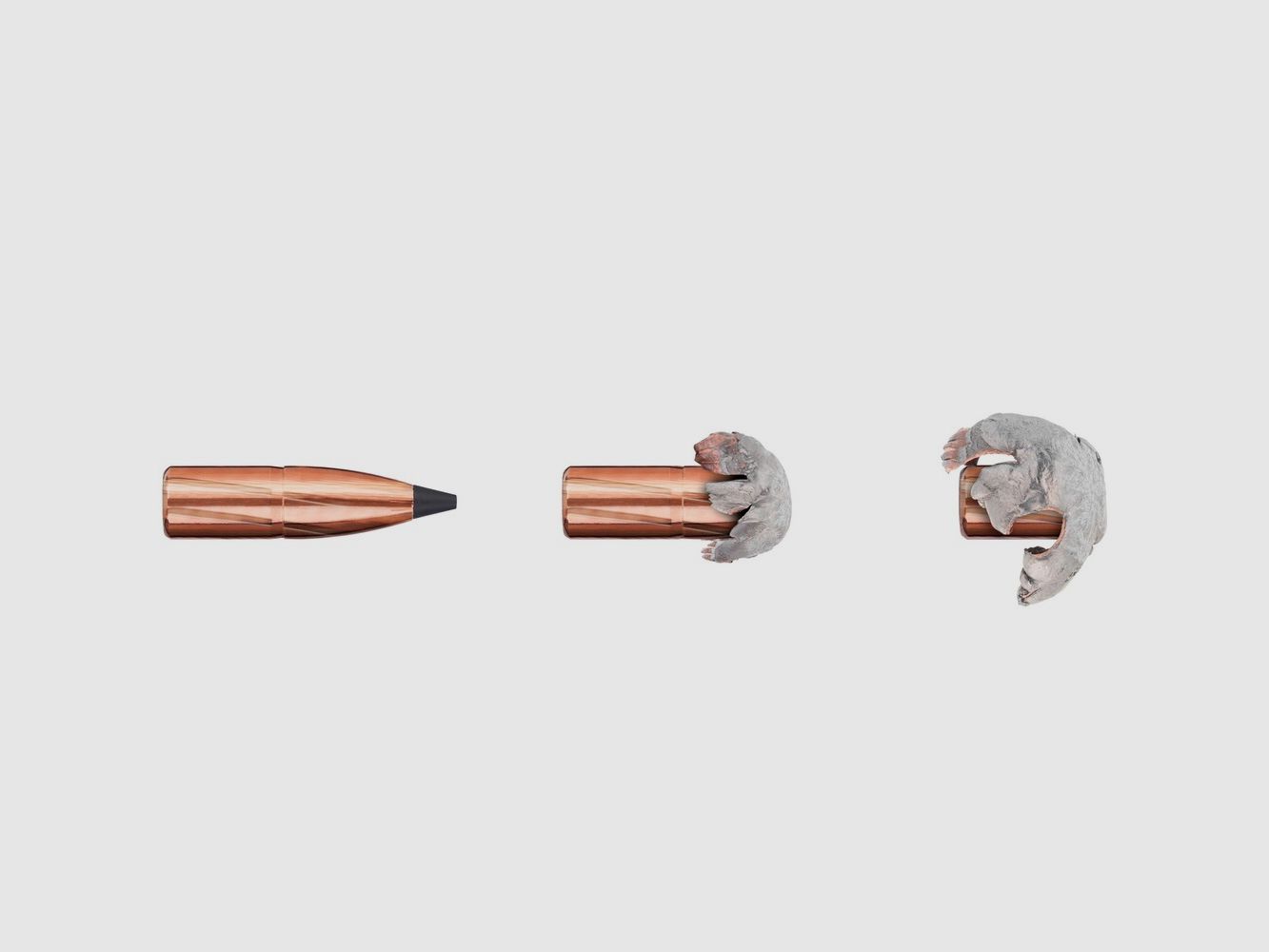 Blaser 9.3×62 Controlled Deformation Bonded 18.8g/290grs., imagen 3 de 3