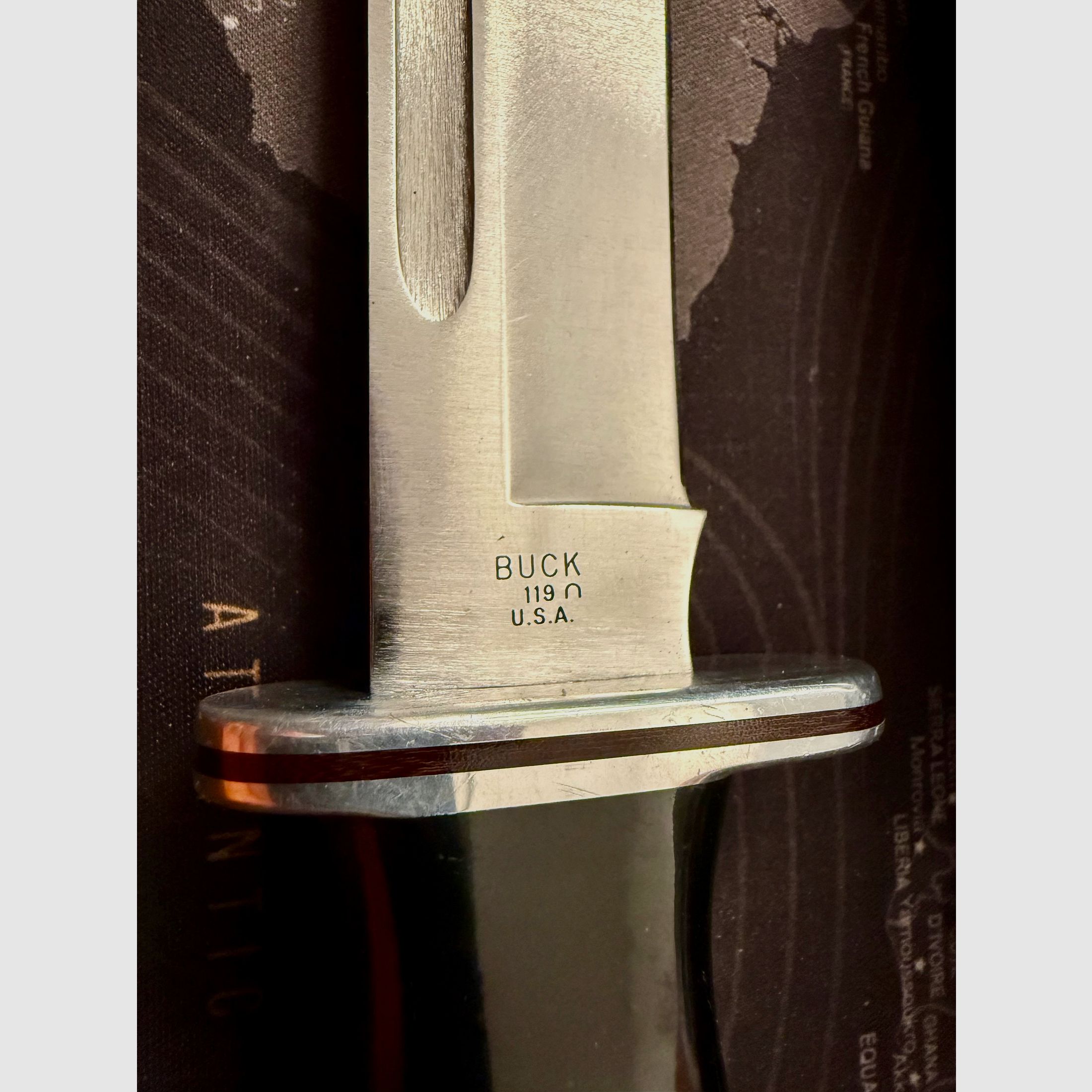 Buck 119 Bowie Messer Outdoor