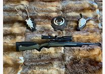 Steyr MS Wild