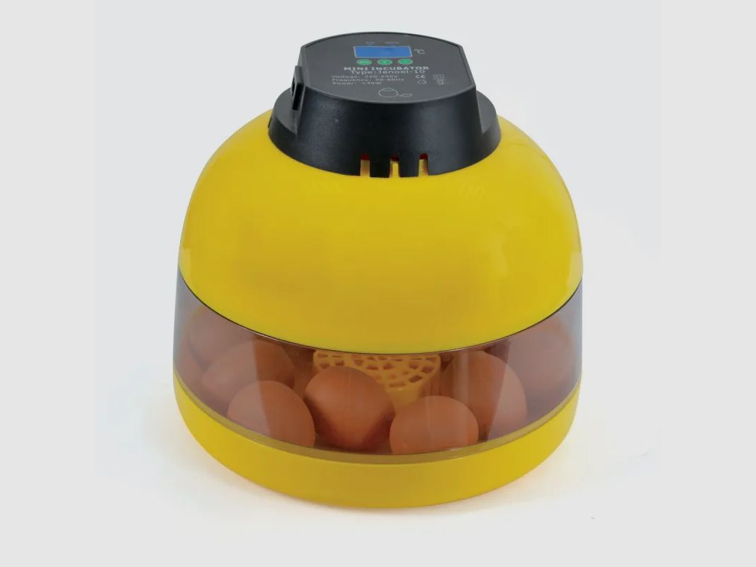 Manuelle Wende-Inkubator für 12 Eier + Eierprüfer, Bild 3 von 6