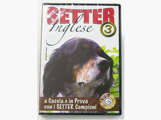 LUGARI Setter Inglese 3