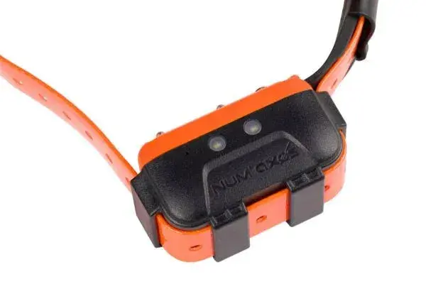 Collier Canicom GPS 2 Num'Axes - Dressur & GPS, Bild 6 von 12