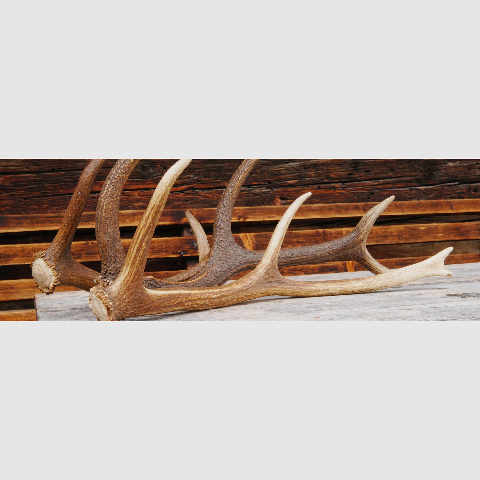 Serviceleistung Montage & Einschießen 100m Fleck