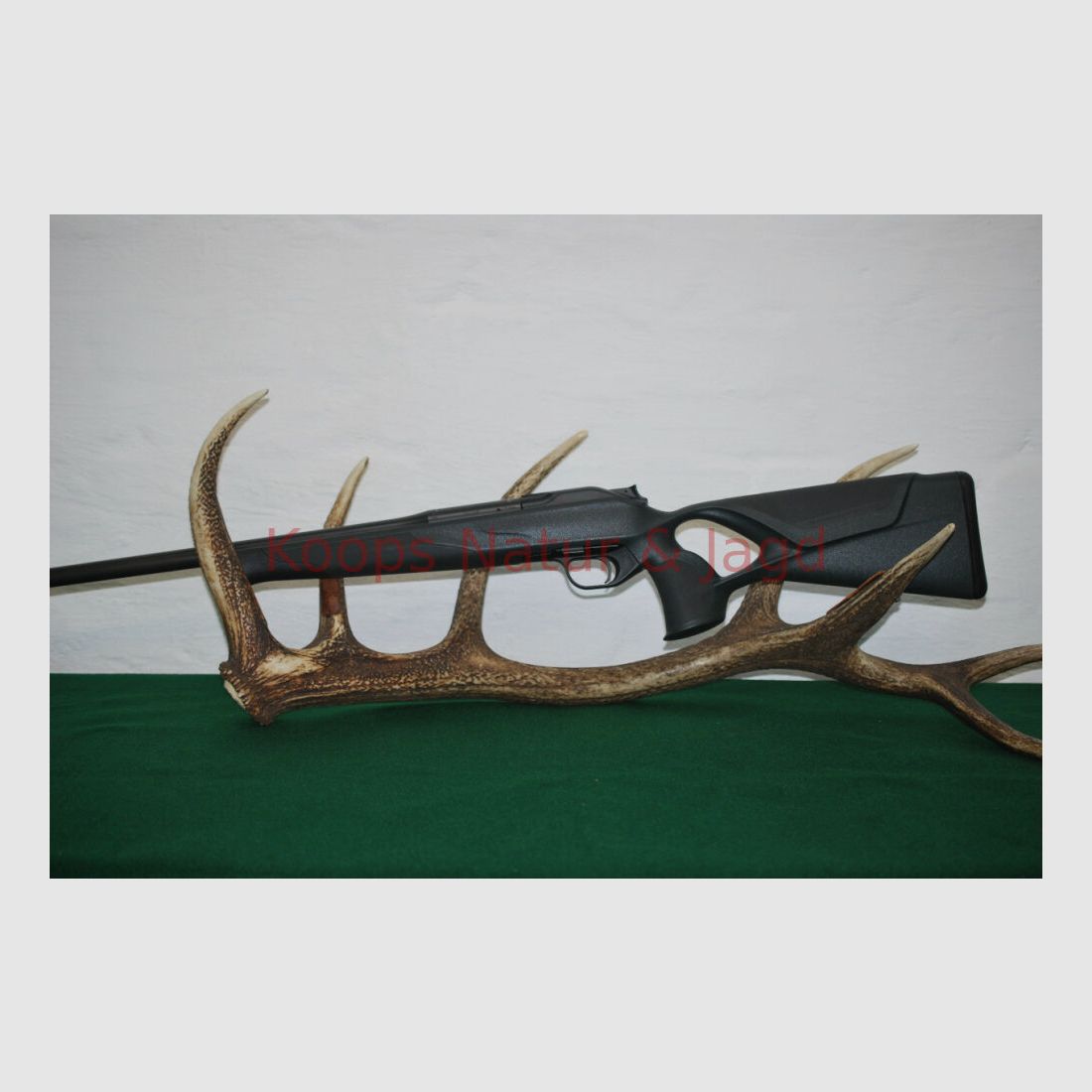Blaser R8 Professional Success