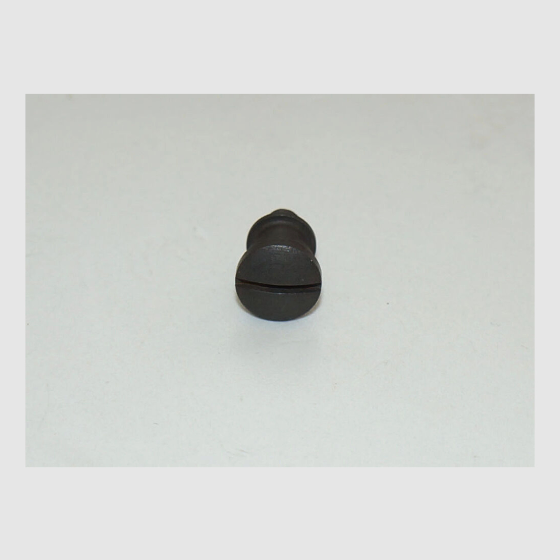 Fábrica de armas de Berna Tornillo de tapa usado para revólver de ordenanza suizo 29