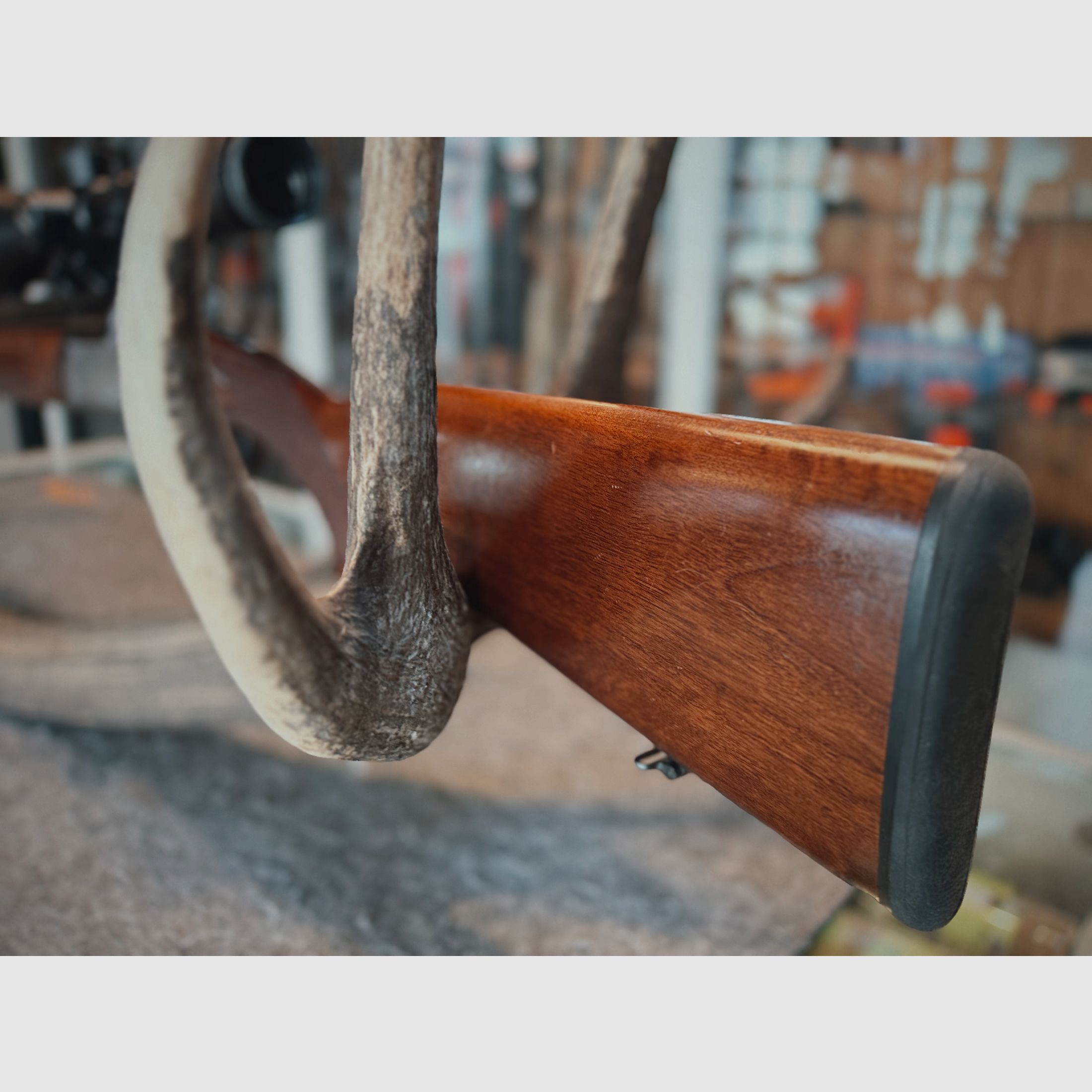 Sabatti BBF – 12/70 & 8x57 IRS – mit Einstecklauf 5,6x52R – Meopta Meostar R1 3-12x56 