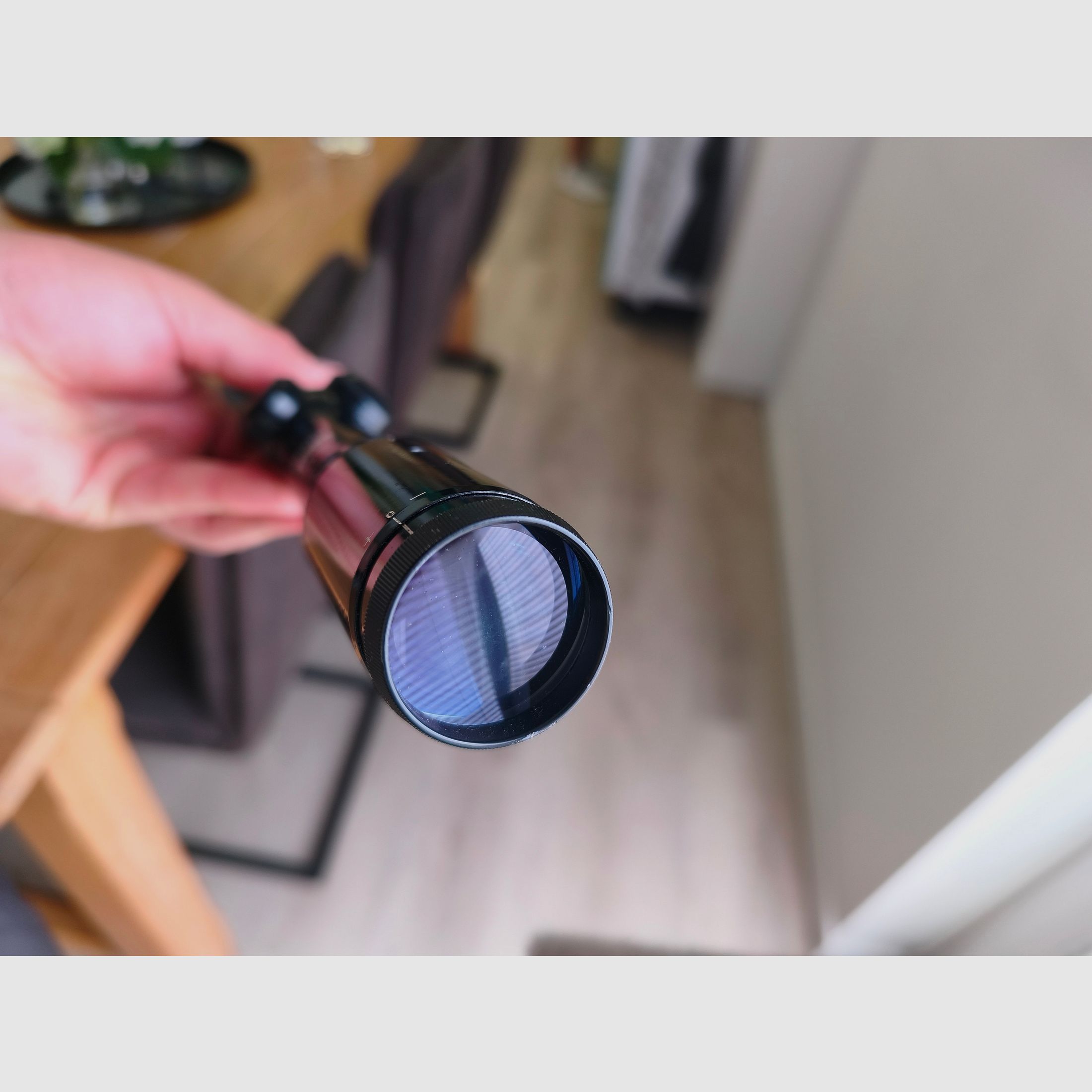 ZEISS Diavari-D 2,5-10X