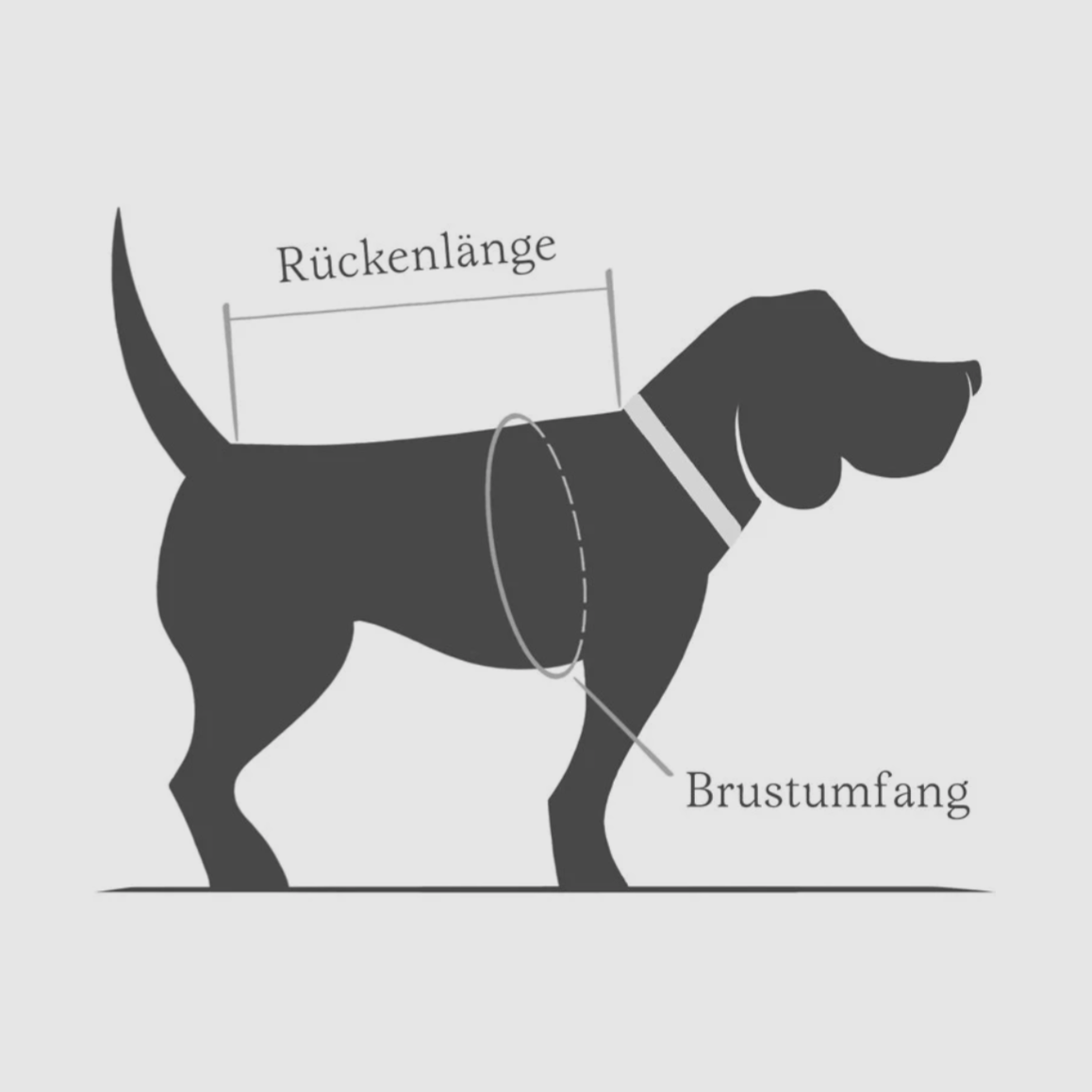 Hundemantel Brooklyn waxed cotton, Bild 8 von 11