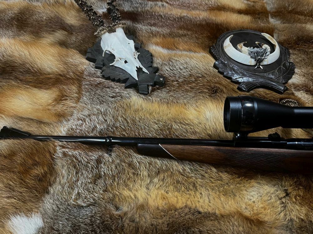 Mauser 66