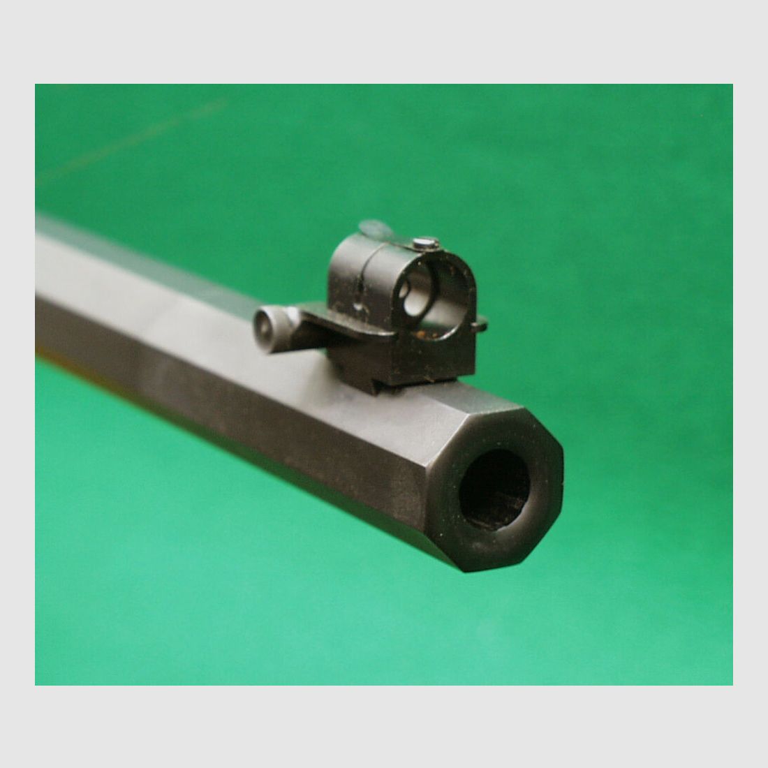 Rifle de sport C-Sharps NM 1874