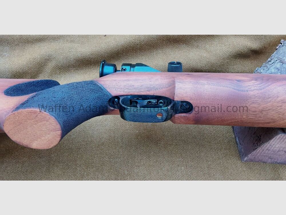 Walther Luftgewehr LG 55 Match LG