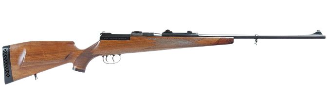 Mauser 66