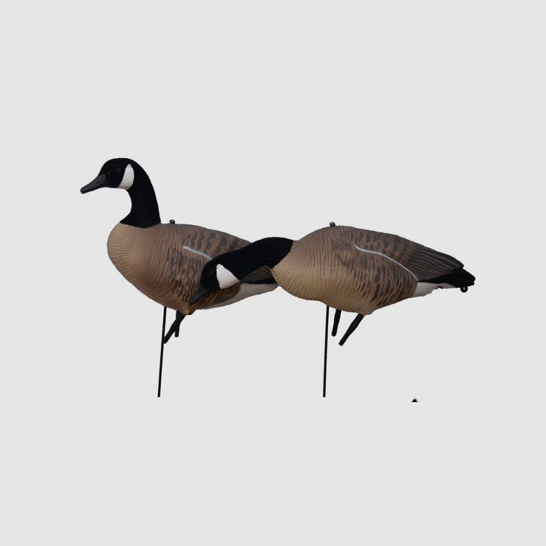 Prodecoys appelants d’oie du Canada 12 pièces full body, image 3 sur 9