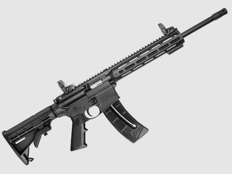 Karabina samopowtarzalna Smith & Wesson M&P15-22 Sport, zdjęcie 1 z 9