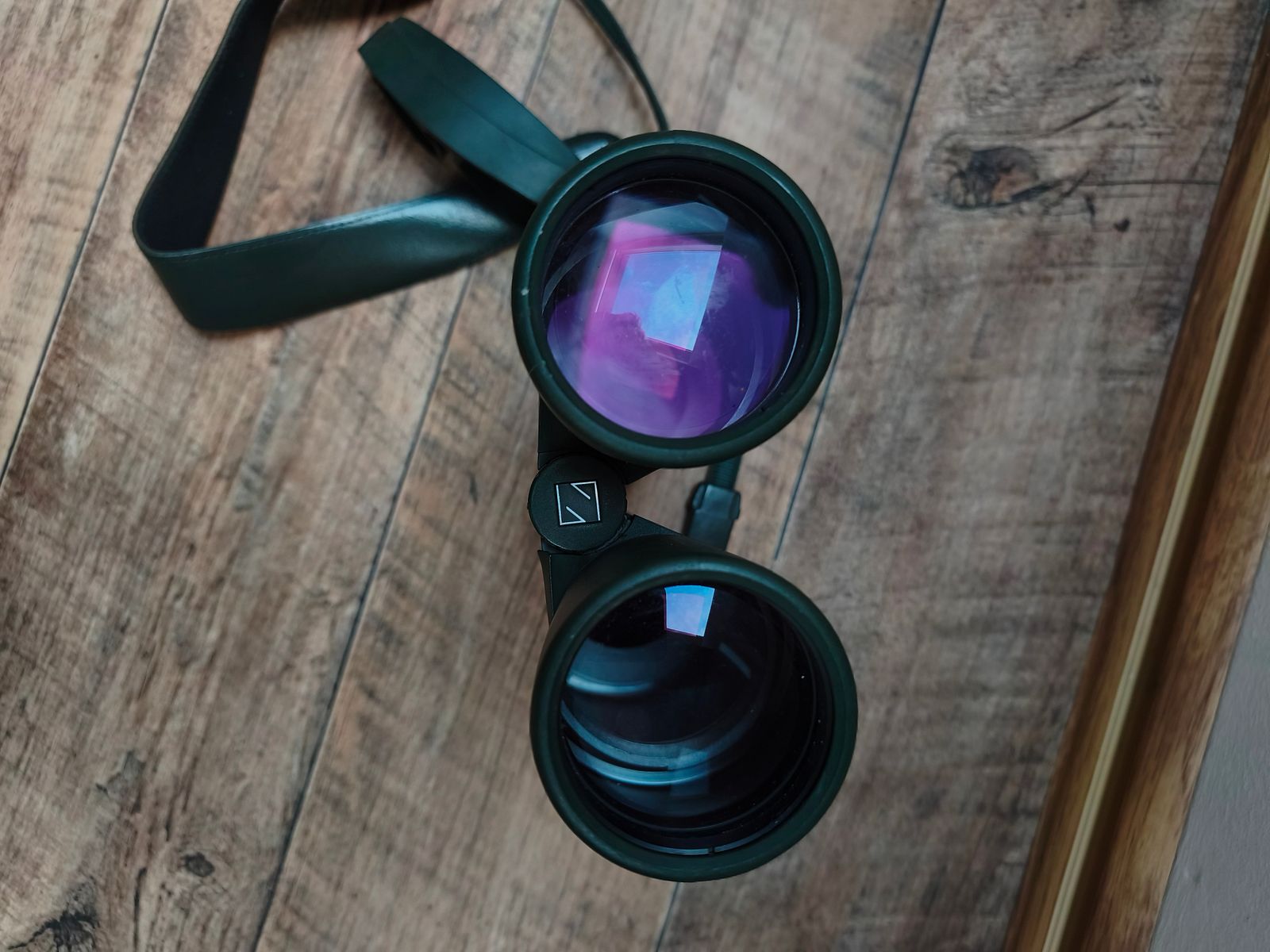Purchase request: Zeiss binoculars 10x56 B T P