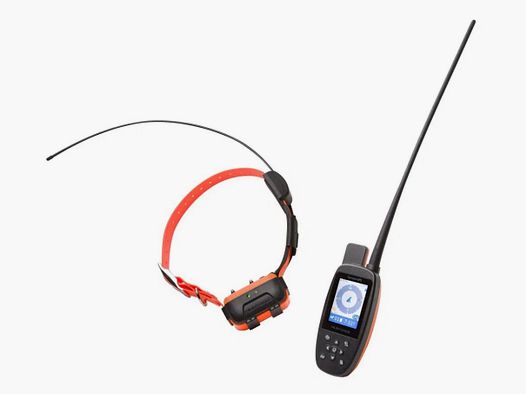 Canicom GPS