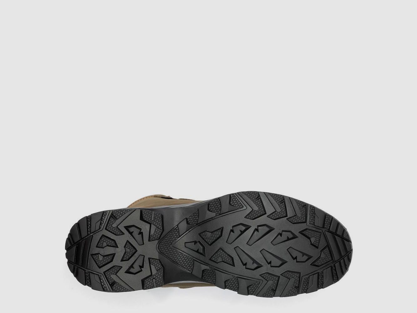 Labrador BOA 01, image 3 sur 3