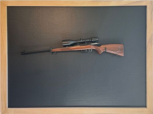 CZ 527 BRNO Kal. .22 Hornet mit deutschem Stecher und Kassner 8x56 Zielfernrohr