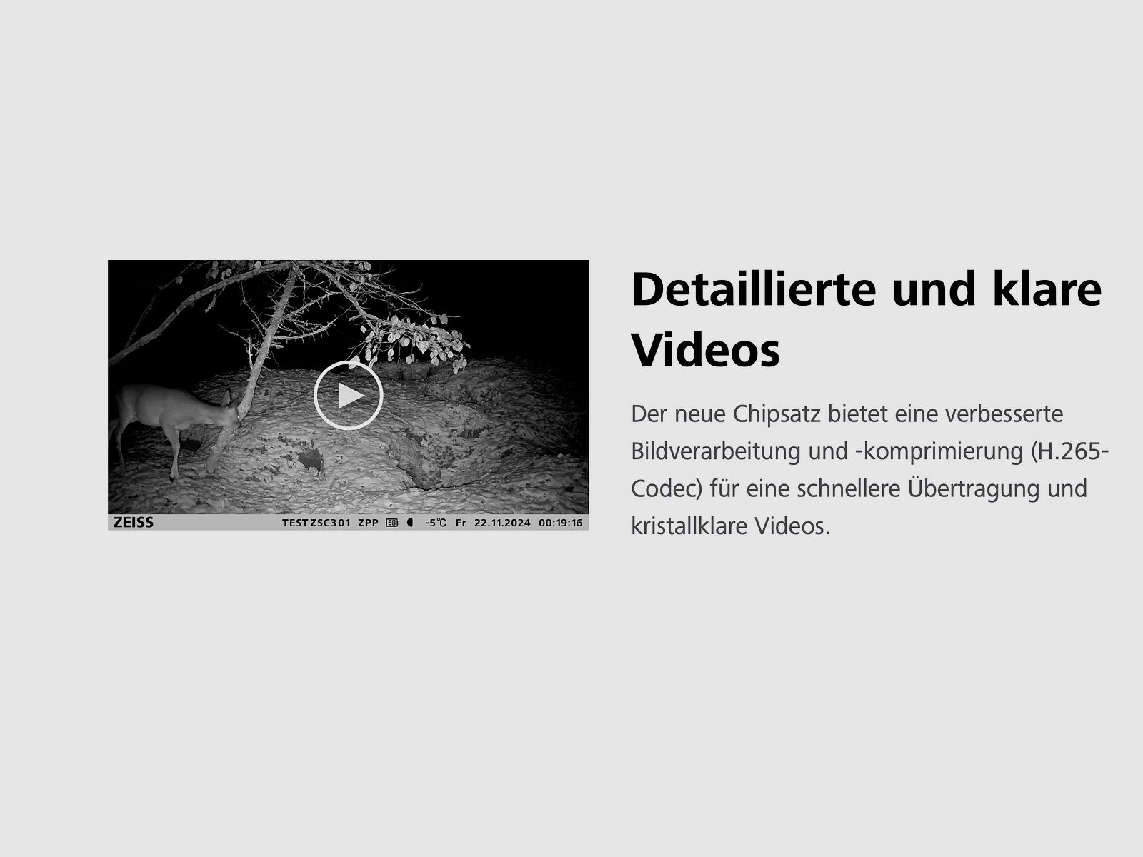 ZEISS Secacam 3 fototrappola con funzione di invio, angolo di visione di 60 gradi, portata del flash di 25 m