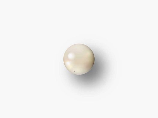 GUIDON BLANC OVALE M2.6 D4