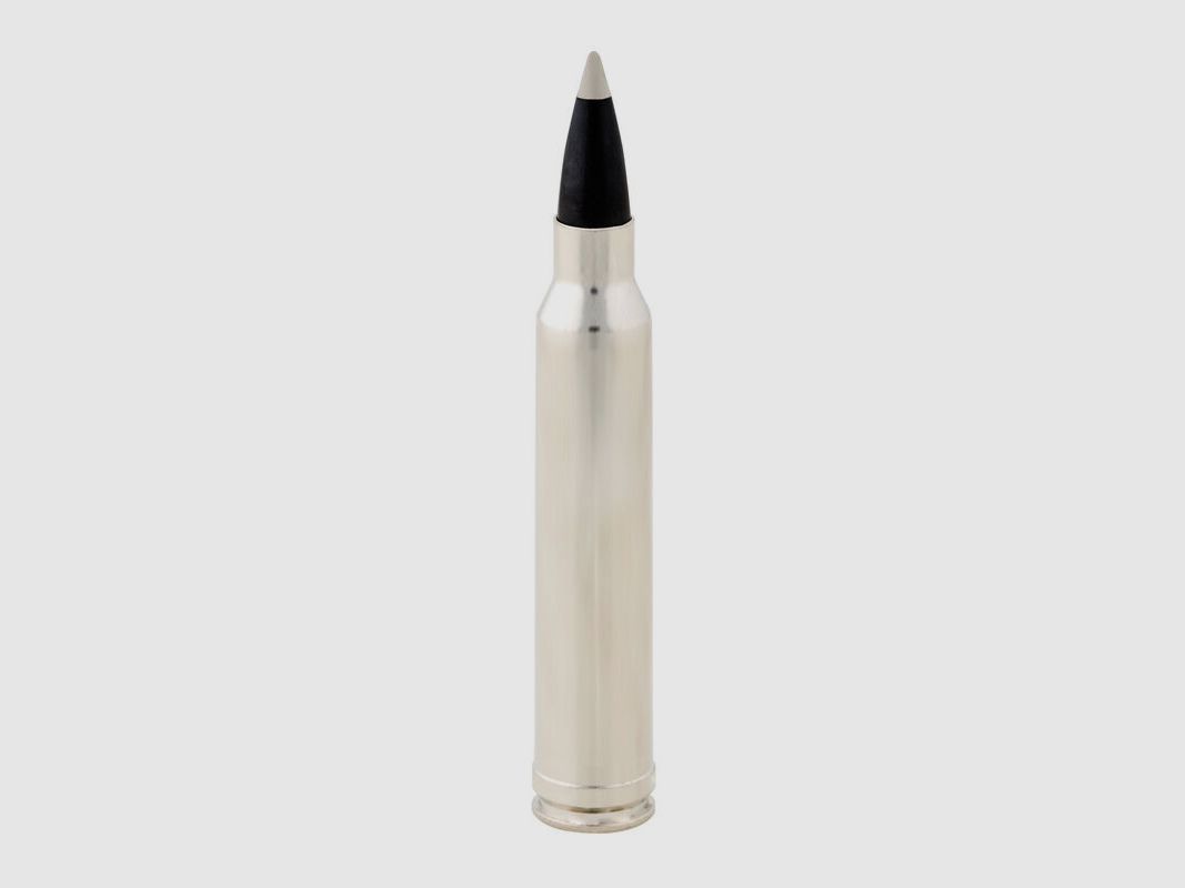 Winchester Ballistic Silvertip 55grs - 20 pcs.