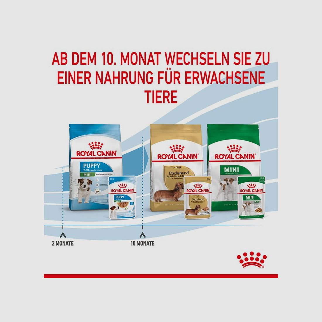 ROYAL CANIN Kleine Hunde Nassfutter Welpen bis zum 10. Monat 12x85 g
