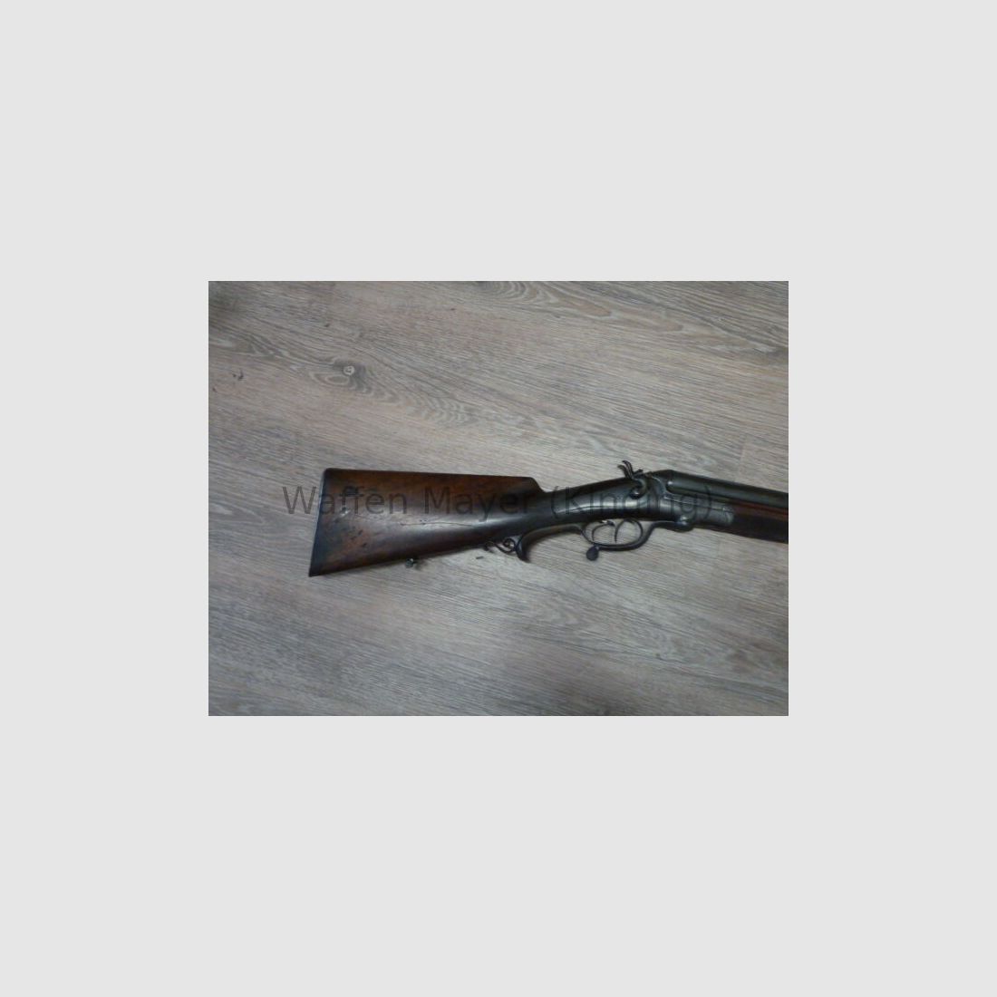 escopeta de perro desconocida